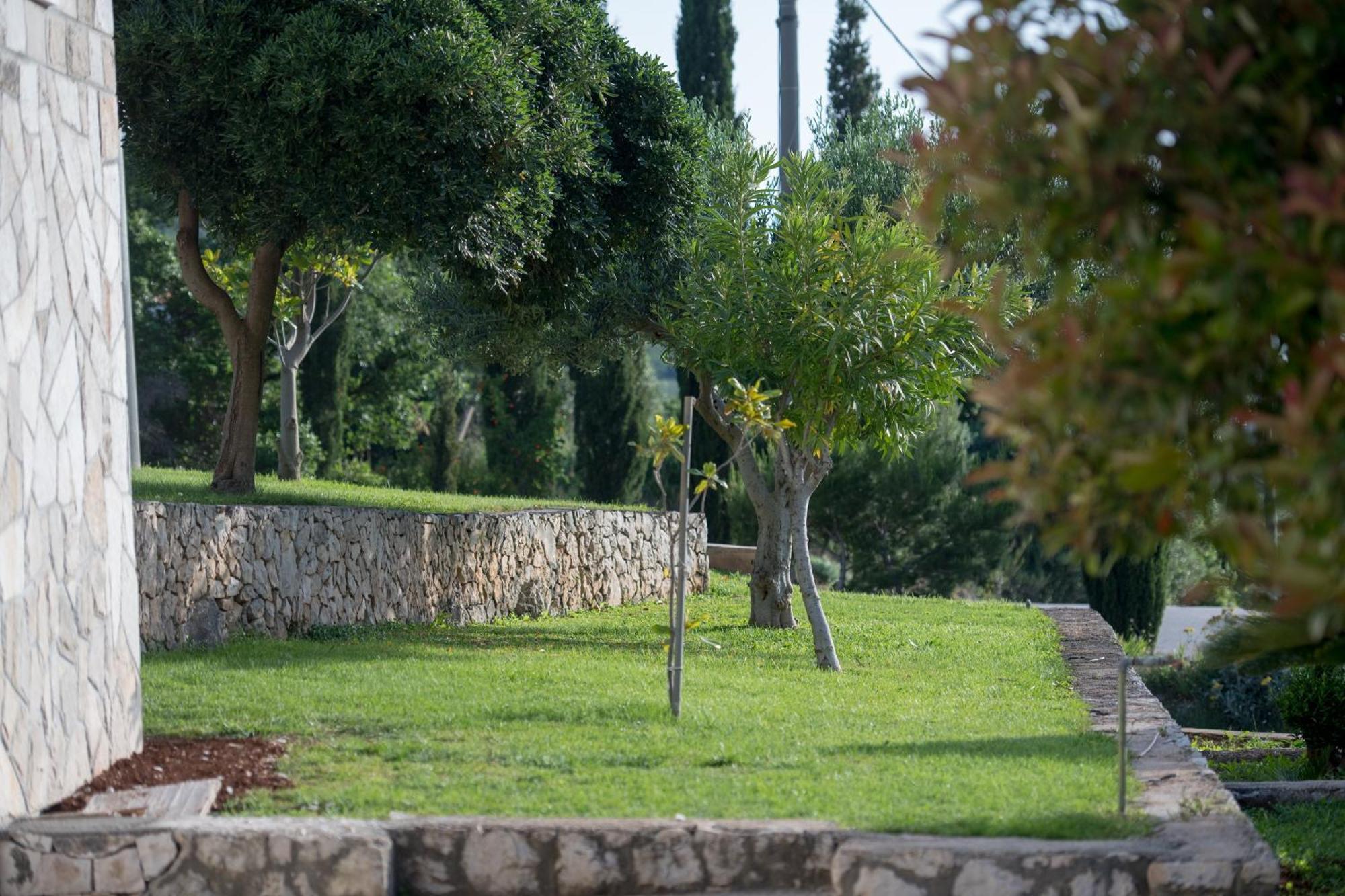 Apartments Mi&Ni Cavtat Δωμάτιο φωτογραφία